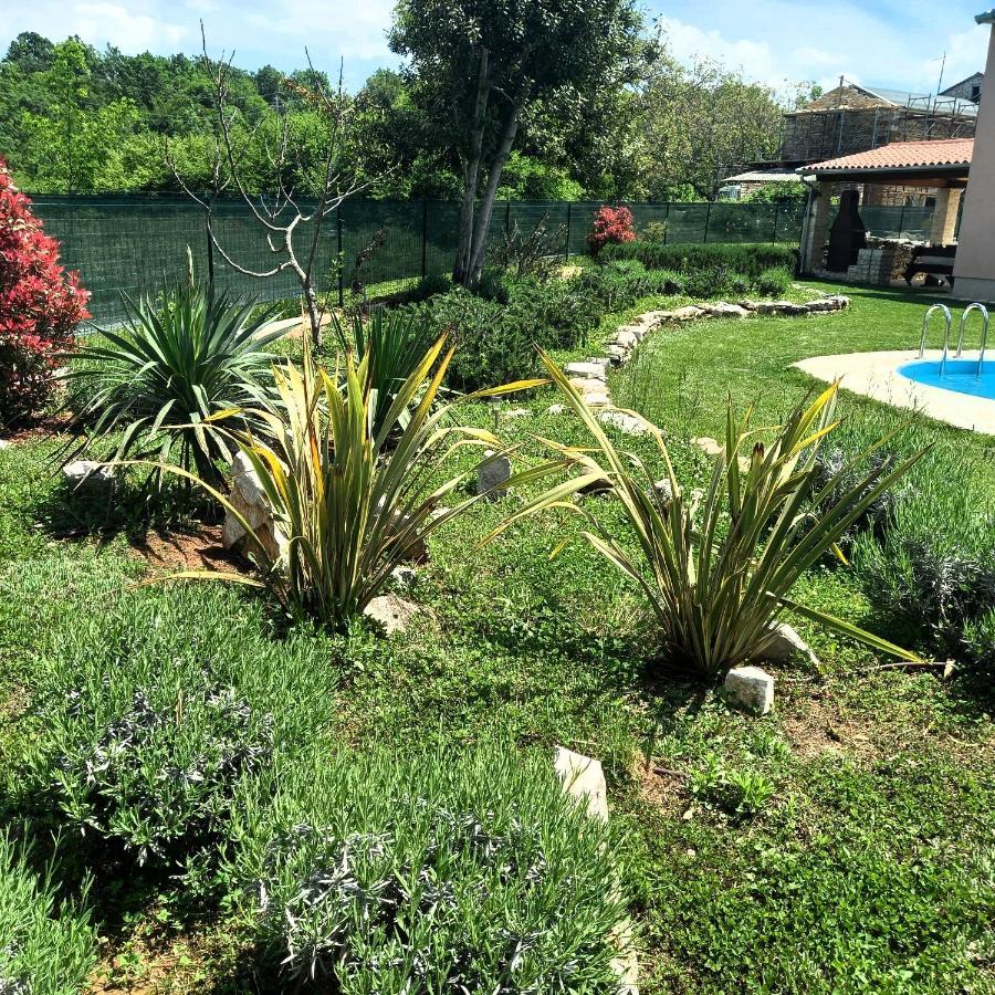 Villa Malini Grožnjan Eksteriør billede