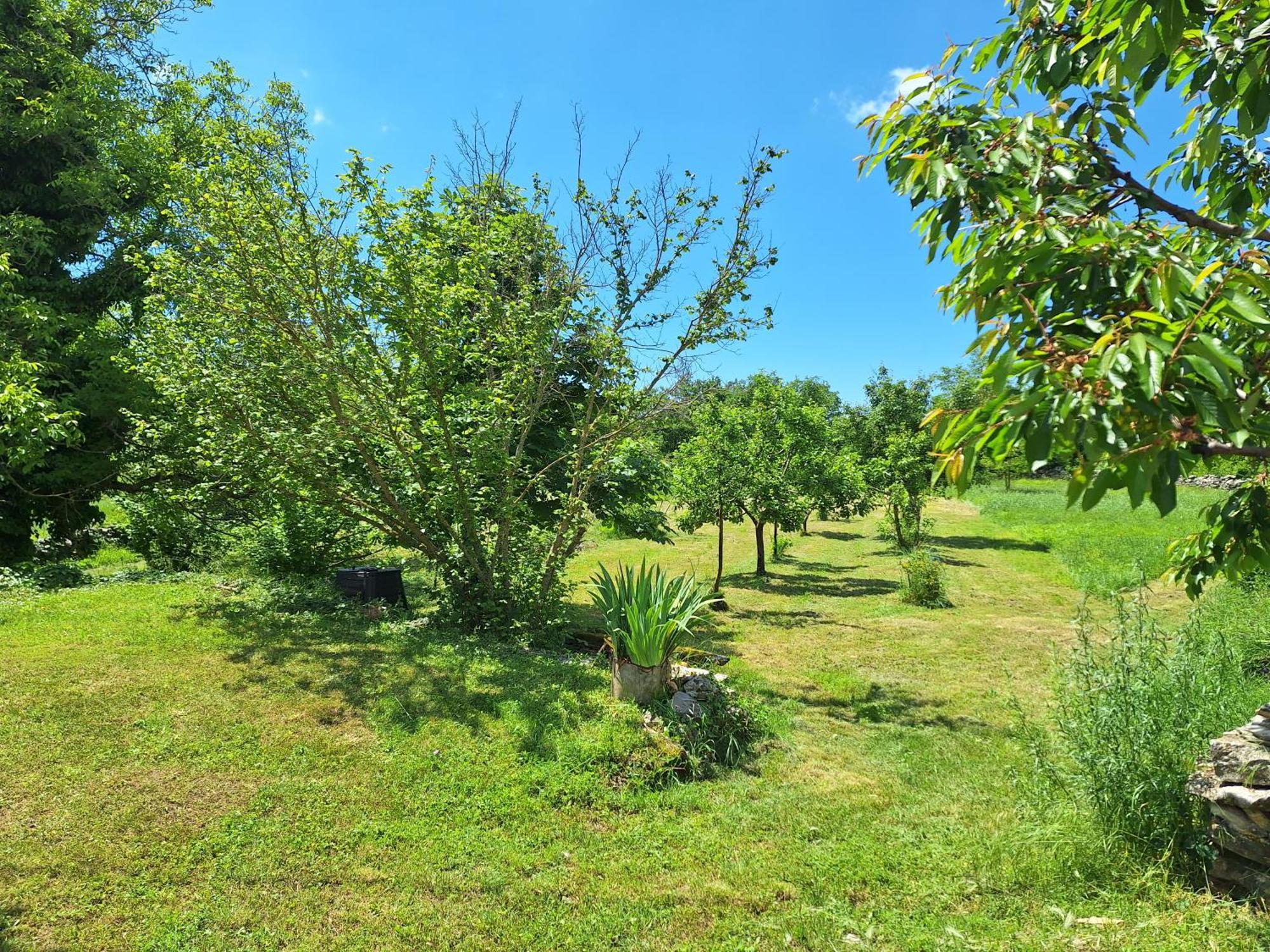 Villa Malini Grožnjan Eksteriør billede