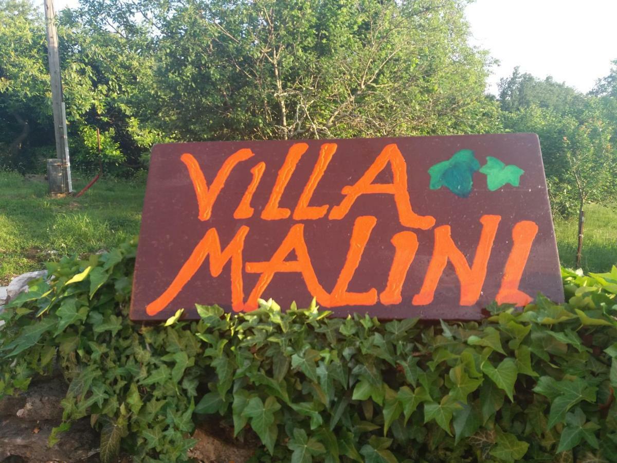 Villa Malini Grožnjan Eksteriør billede